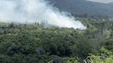 MFD battling stubborn brush fire in Waiehu