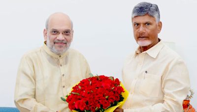 Chandrababu Naidu meets Amit Shah, seeks higher allocation for Andhra Pradesh in Union Budget
