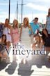 The Vineyard