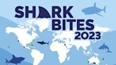 Global shark attack trends in 2023: Consistent pattern with increased fatalities, new report states
