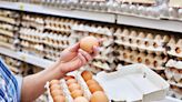 全球蛋價比較 加國雞蛋貴不貴？