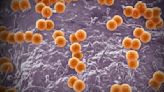 Chicago health officials warn of uptick in invasive meningococcal disease