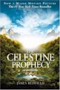 The Celestine Prophecy (Celestine Prophecy, #1)