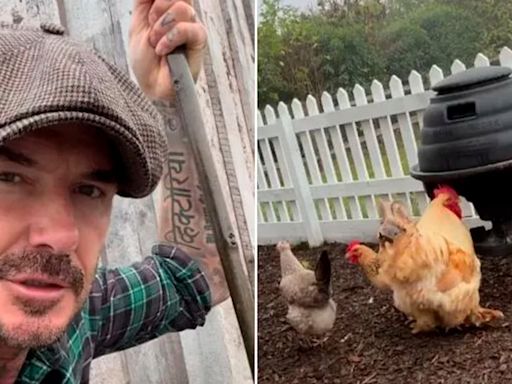 David Beckham mostró cómo es un día en su granja y Victoria le dejó un comentario cargado de humor