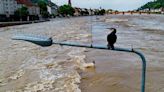 Cuatro muertos dejan las lluvias en Alemania
