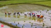 West Bengal agriculture minister outlines impact on climate change on rice production - The Economic Times