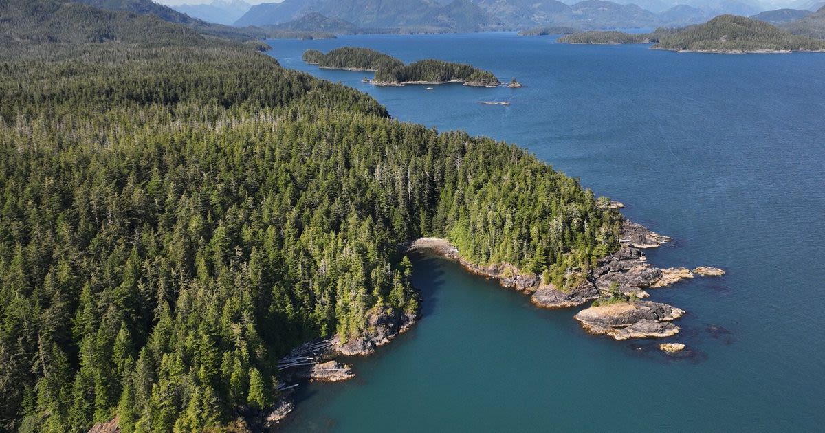 B.C. court acknowledges First Nation’s land claim off Vancouver Island