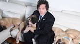 Descubre el misterio detrás de los perros clonados del presidente de Argentina, Javier Milei