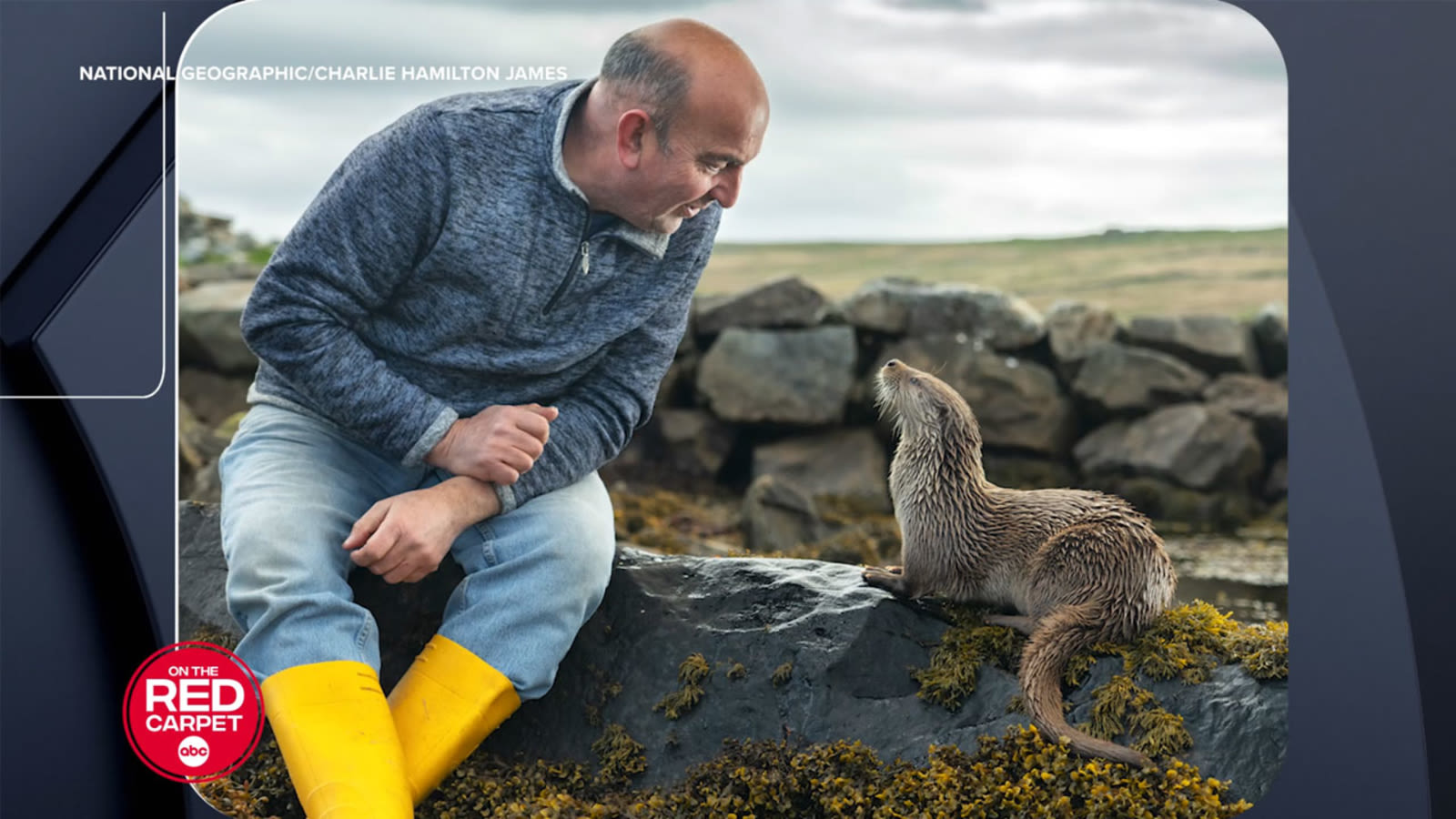 'Billy & Molly: An Otter Love Story' a heart-warming story of unlikely friendship