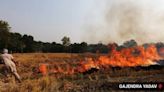 To check stubble burning, Punjab to give 22,000 CRM machines to farmers: govt