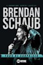 Brendan Schaub: You'd Be Surprised