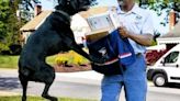 Los Angeles ranks number 1 in dog bites to Postal Service employees