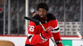 Former NHL star Subban showcases hockey’s diverse world