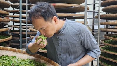 花蓮茶農閃耀國際 獲2024英國美食大賞三星殊榮