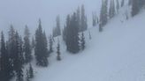 Eight people carried away as more than 12 avalanches hit Utah in a day, officials say