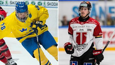 Blues sign Sylvegard, Johannesson from SHL | St. Louis Blues