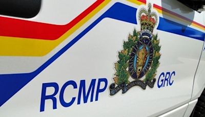 Father, son arrested for 'alleged terrorist activities' in the Greater Toronto Area: RCMP