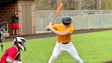 Lancaster H.S. baseball players take home All-OCC, Central District postseason awards