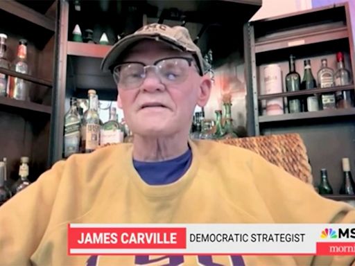 James Carville suggests Kamala Harris is more vulnerable than happy Democrats think: 'Tough sledding ahead'