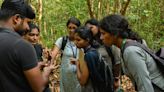 Researchers tag milkweed butterflies to understand migration behaviour, seek help in monitoring