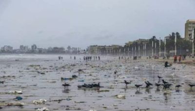 Mumbai's Famous Juhu Beach Gets Rid Of 200 MT Of Garbage, All Thanks To 138 Civic Labourers
