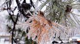 Expect travel issues Monday as ice threatens northern Ontario