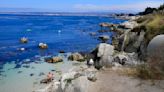 Deep sea coral habitat likely to get protection by closure of fisheries off NorCal coast