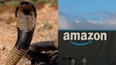 Mulher recebe cobra em entrega da Amazon na Índia