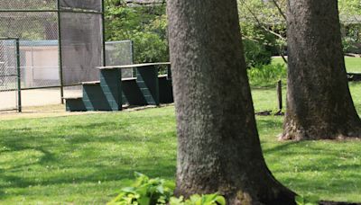 Northridge National Honor Society spruces up Alexandria's Parker Community Park for summer