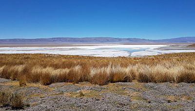 Argentina Lithium positive Lithium Values in 12th Exploration well at Rincon West