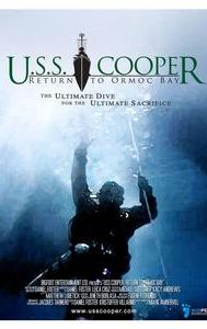 USS Cooper: Return to Ormoc Bay