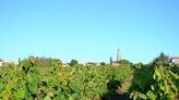 Val de Loire, du Pays nantais à l’Anjou : notre sélection de vins d'été 2024