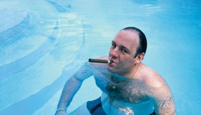 In true Tony Soprano fashion, James Gandolfini once stormed out of his own intervention