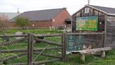 Portland community garden closed due to high levels of arsenic in soil