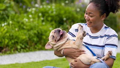 Here's how to keep your pets safe during this week's intense heat wave