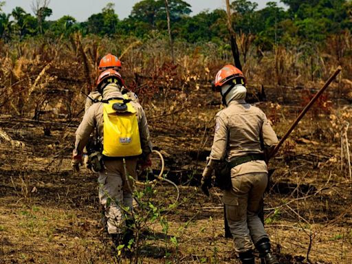 Fazenda palco de 'dia do fogo' em 2022 é hoje a que tem mais queimadas no Brasil