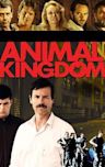 Animal Kingdom (film)