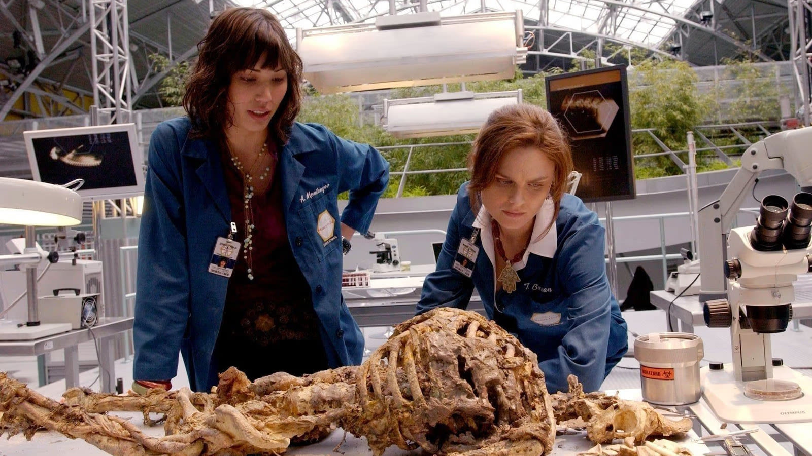 One Scene In Bones' Pilot Completely Changed The Course Of The Show - SlashFilm