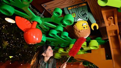 ‘I want to live at Legoland for 100 days’ - review of Legoland's new woodland village