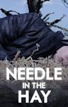 Needle in the Hay