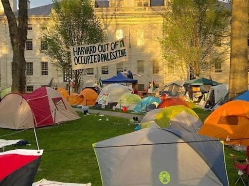 Harvard afastará estudantes que continuarem em acampamento pró-Palestina