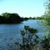 Attenborough Nature Reserve