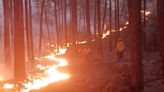 Controlan gran incendio en Balleza; quedan 10 más en el estado