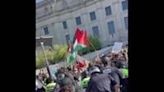 US: NYPD Arrest Dozens Of Pro-Palestine Protesters At NYC Brooklyn Museum