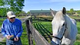 For ex-Derby winner Silver Charm, it’s a life of leisure and Old Friends at Kentucky retirement farm