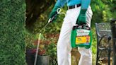 Amazon shoppers praise 'fast action' weed killer that works 'in days'