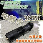 【單手電筒下單區】 D2B69 大功率5W紫光 紫外線 UV 紫光驗鈔筆 驗鈔燈 魚眼手電筒