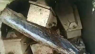 Morador encontra túmulo com caixões de crianças violados e faz vídeo | TNOnline