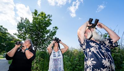 Believe it or not, Milwaukee is a bird haven. Here's how to start your own birding obsession.