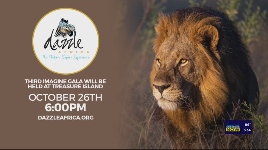 Third Annual Dazzle Africa Imagine Gala